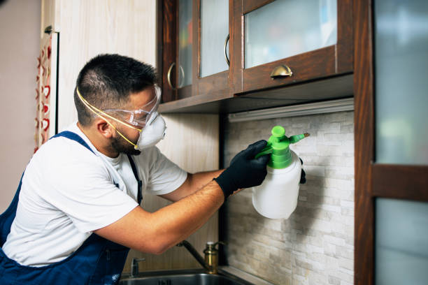 Best Residential Pest Control  in South Wallins, KY