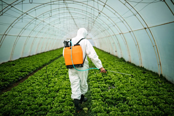 Best Mosquito Control Services  in South Wallins, KY