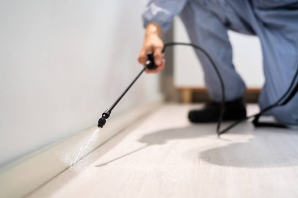 Best Pest Prevention Services  in South Wallins, KY