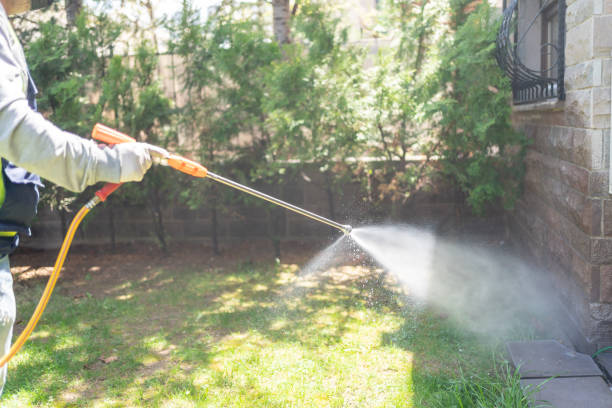 Best Local Pest Control Services  in South Wallins, KY