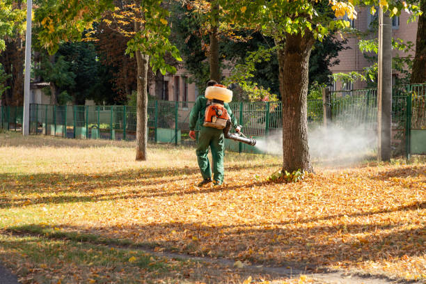 Best Cockroach Control Services  in South Wallins, KY