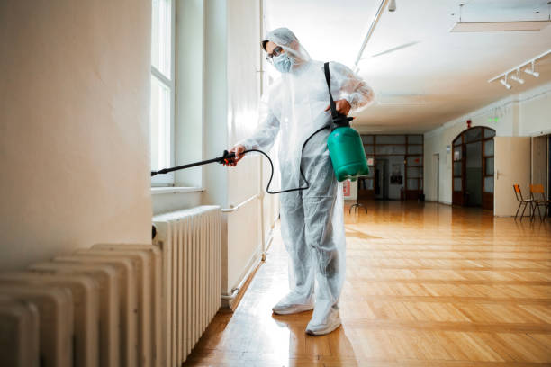 Best Insect Control  in South Wallins, KY
